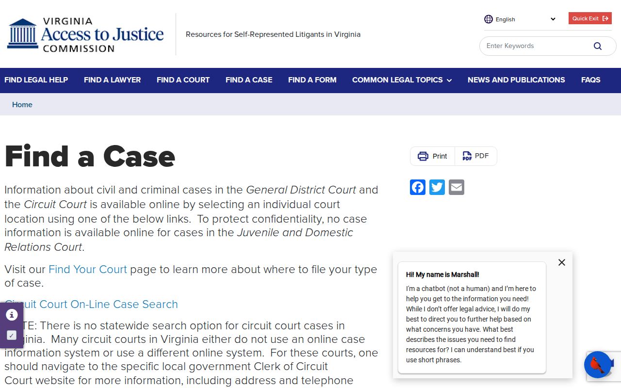 Virginia court self-help information about public online case search limits